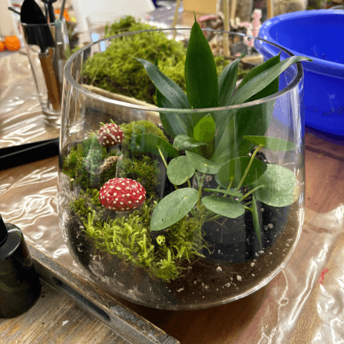 Garten im Glas